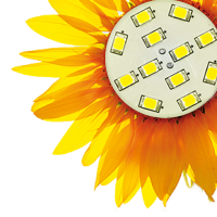 girasole LED