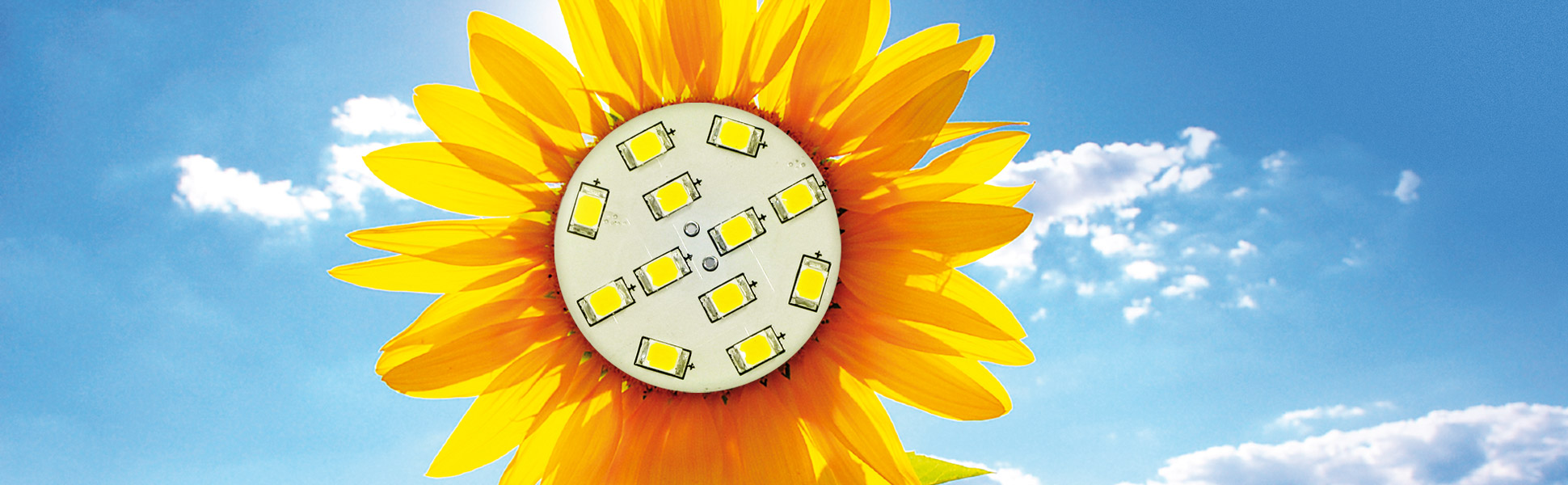 Girasole a led